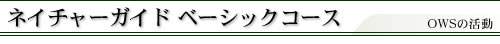 �l�C�`���[�K�C�h�x�[�V�b�N�R�[�X