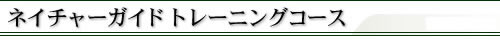�l�C�`���[�K�C�h�g���[�j���O�R�[�X