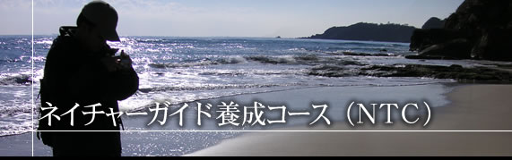 �l�C�`���[�K�C�h�{���R�[�X