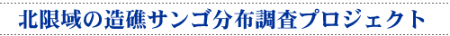 �k����̑��ʃT���S���z�����v���W�F�N�g