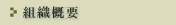�g�D�T�v