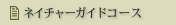 �l�C�`���[�K�C�h�R�[�X