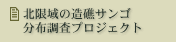 �k����̑��ʃT���S���z�����v���W�F�N�g