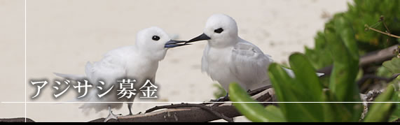 �A�W�T�V���