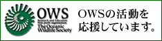 OWSĂ܂