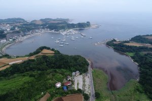 江奈湾全景（撮影：海洋写真家･杉森雄幸）