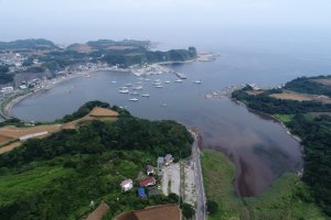 江奈湾全景（撮影：海洋写真家･杉森雄幸）