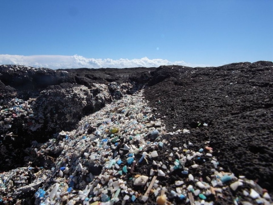 ハワイに漂着したプラスチック片 海洋ごみ問題 活動BLOG 海の環境NPO法人OWS