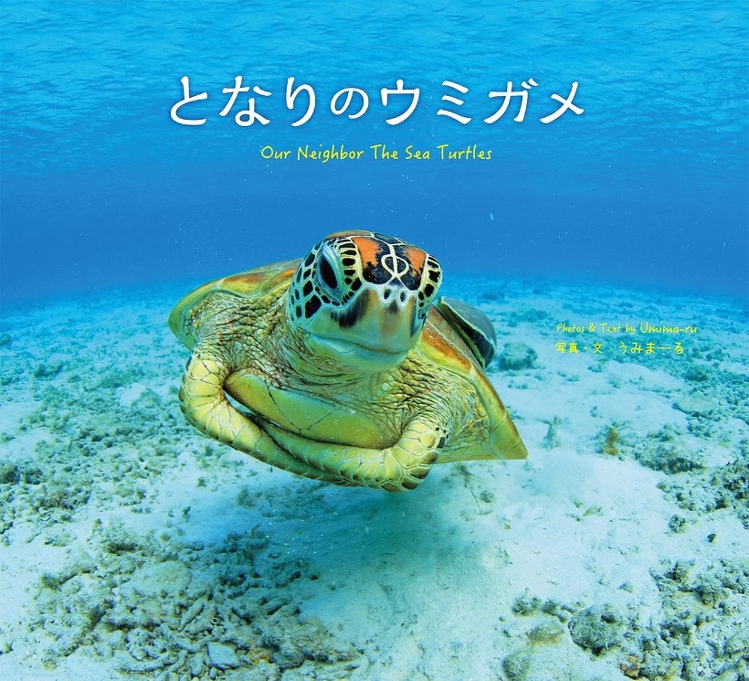 メンバーの著書 となりのウミガメ Topics 活動blog 海の環境npo法人ows メンバーの著書 となりのウミガメ Topics 活動blog 海の環境npo法人ows
