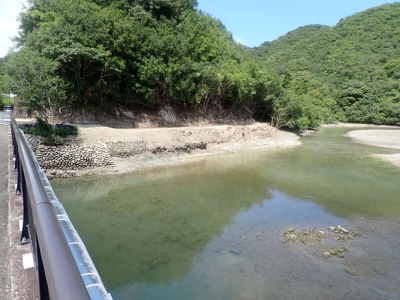 底質の様子が一変した橋の下流側