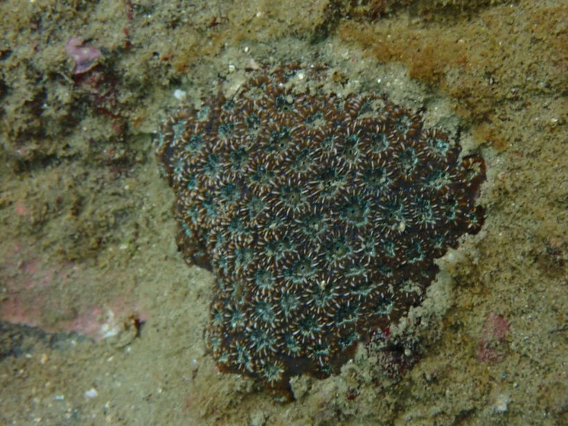 相星代表の案内でエントリー