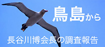 長谷川会長 ｢鳥島から｣